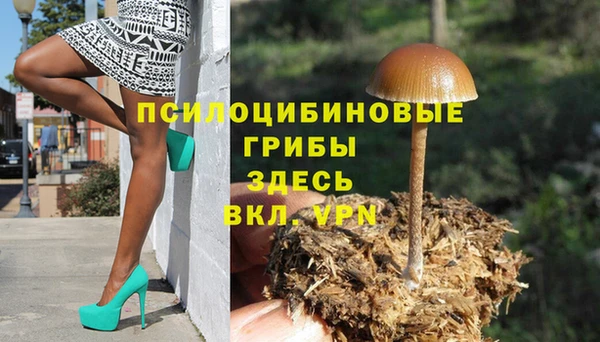 a pvp Майский