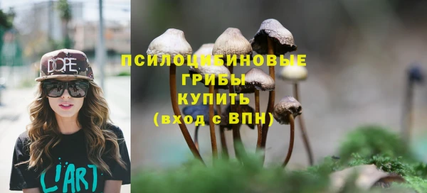 прущая мука Мегион