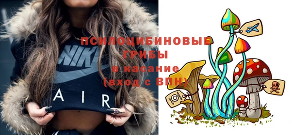 прущая мука Мегион