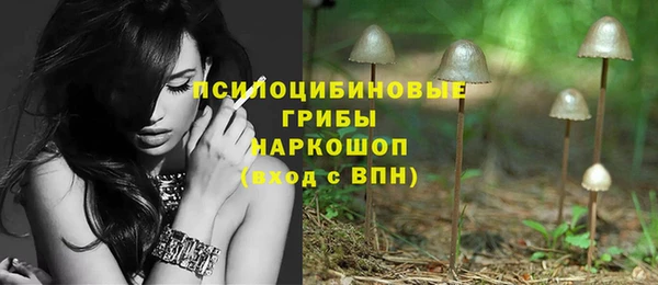 меф Медвежьегорск