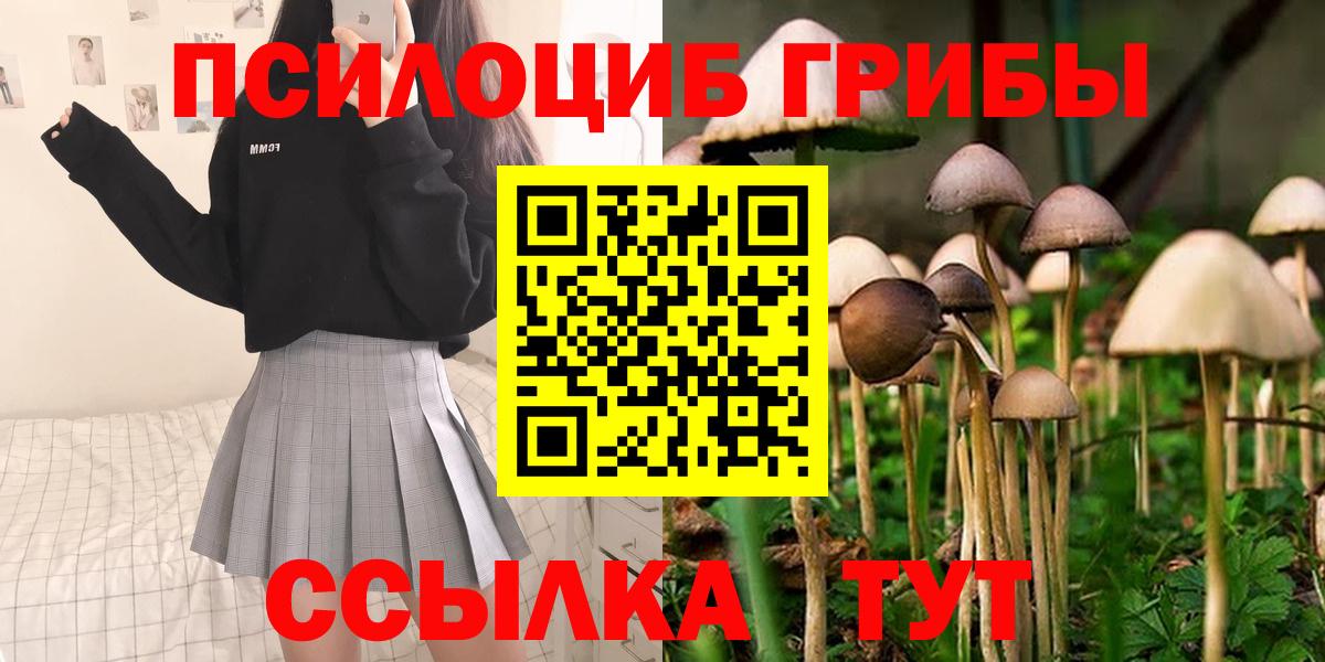 Малоярославец  Галлюциногенные грибы GOLDEN TEACHER  Вход с VPN 