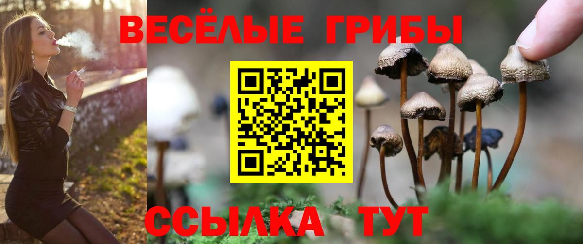Псилоцибиновые грибы Magic Shrooms Малоярославец